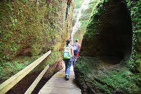 Weitere ideen zu eisenach, pflegemaßnahmen. Drachenschlucht Bei Eisenach Thuringer Wald