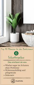 Pflanzen Furs Bad 10 Arten Fur Die Wellnessoase Arten Bad Die Diybathroomtips Fur Furs Pflanzen Wellnessoase Bathroom Plants Plants Rustic Bathrooms