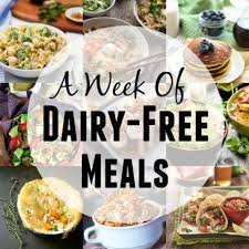 Quinoa Breakfast Bars Recipe Dairy Free Recipes Dinner Dairy Free Diet Plan Dairy Free Lunch