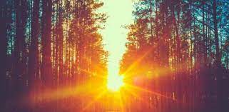 La palabra solsticio es de origen latín solstitium, de sol y statum que significa estático, es decir, punto. Verano Hoy Arranca La Estacion Del Ano Mas Esperada