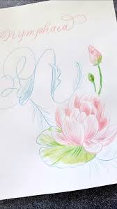 Image result for Nymphaeaceae