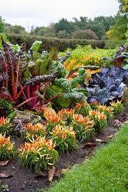 Epingle Par Salomon Sur Landscaping Ideas Amenagement Cour Potager Jardin De Legumes