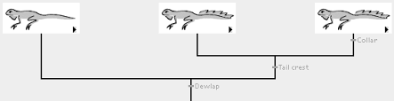 Common descent with modification occurs due to mechanisms of evolutionary change. Http Faculty Washington Edu Herronjc Softwarefolder Files Phylostrat Tutorial Pdf