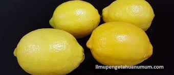 Demikianlah beberapa khasiat buah lemon yang sangat baik jika dikonsumsi rutin. Kandungan Gizi Jeruk Lemon Dan Manfaat Jeruk Lemon Bagi Kesehatan Ilmu Pengetahuan Umum