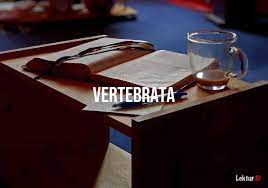 They have backbones and are also characterized by a muscular system consisting primarily of bilaterally paired masses and a central nervous system. Arti Kata Vertebrata Di Kamus Besar Bahasa Indonesia Kbbi Lektur Id