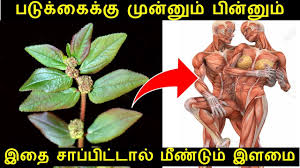 Reverse cavities and tooth decay with this simple home remedy trips to the dentist for drilling into our teeth and filling them up with synthetic material. à®ªà®² à®š à®¤ à®¤ à®¯ à®¤à®Ÿ à®• à®• à®Žà®³ à®¯ à®µà®´ Tooth Decay Treatment Home Remedies In Tamil Youtube