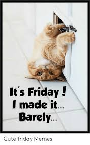 Collection by quotes (inspirational +motivational+love quotes) • last updated 2 days ago. 25 Best Memes About Finally Friday Funny Finally Friday Funny Memes