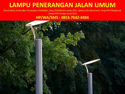 Philips lampu led sorot led 100w 100 w philips bvp 100 watt led tembakrp1.140.000: Call 0853 7642 8484 Tsel Lampu Pju Surabaya Medium