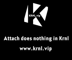 18.02.2021 · download krnl and disable your antivirus. Attach Does Nothing In Krnl Krnl