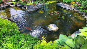 Selain itu, rasa ikan air read more Kolam Terindah Di Dunia Youtube