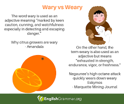Wary Vs Weary English Vocab Adjective Meaning Grammar