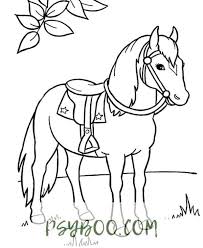 $1.50 (10 new offers) ages: Free Connemara Pony Coloring Page Horse Coloring Books