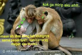  Bambang Hariyono Hbariyono45 Profile Pinterest