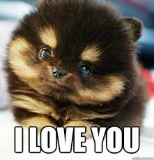 Cute I Love You Memes