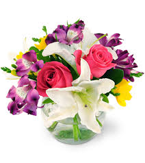 Maybe you would like to learn more about one of these? Sweetly Devoted Naples Fl Florist