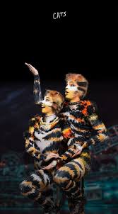Pin By Sofia Everleigh Fonseca On Broadway Jellicle Cats Musical Wallpaper Musicals
