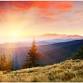 9:30 AM Monday Inner Radiance Yoga event image