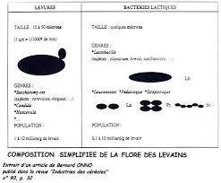 Epingle Sur Pain