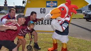 The manly warringah sea eagles are a professional australian rugby league team who are named after the manly and warringah areas of sydney's northern beaches in which the club is based. Photos Sea Eagles V Roosters The Fans Fight It Out Naracoorte Herald Naracoorte Sa