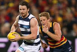 Home patrick dangerfield patrick dangerfield admits vintage performance in cats win inspired by down by 22 points midway through the second quarter, geelong's experienced trio of dangerfield. Adelaide Crows Vs Geelong Cats Afl Preliminary Final Preview And Prediction