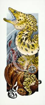 12 1 2 X28 1 3 Moray Eel Fine Art Print Art Traditional Underwater Tattoo Art Prints