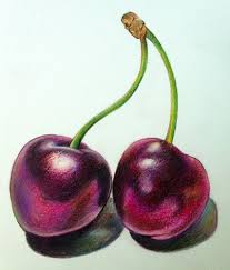 The artist can use the still life symbolically or allegorically to express an idea, or formally to study composition and the elements and principles of art. 25 Beautiful And Realistic Still Life Drawings From Top Artists