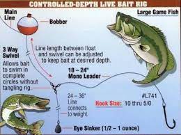 Controlled Depth Live Bait Rig Live Bait Rig Fishing Tips Trout Fishing Tips