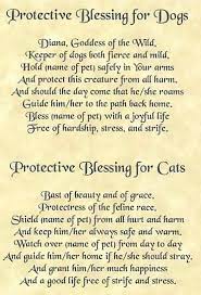 Blessings For Dogs And Cats Wiccan Spell Book Book Of Shadows Witchcraft