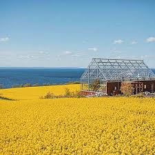 It is only 200 metres away from the west cork coast, so the big city is not too far away if you want a break from the island solitude. Private Islands For Sale Mannion Island Ireland Europe Atlantic