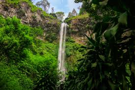 Air Terjun Coban Rondo - Wikipedia bahasa Indonesia, ensiklopedia bebas