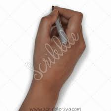 Scribble Free Hand Drawn Whiteboard Svg Format Images For Download Compatible With Sparkol Vi Videoscribe Whiteboard Animation Whiteboard Animation Software