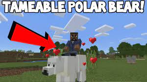 How To Tame Ride And Control Llamas In Minecraft Pocket Edition Youtube Minecraft Crafts Minecraft Creations Tame Animals