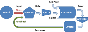 Homeostasis Biology Encyclopedia Article Citizendium