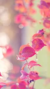 Winter wallpapers full hd (35 wallpapers). Girly Phone Wallpapers 2020 Broken Panda