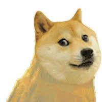 Discover 4509 free meme png images with transparent backgrounds. Dog Gifs Get The Best Gif On Giphy