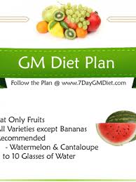 Diet Plan Infographics Visual Ly