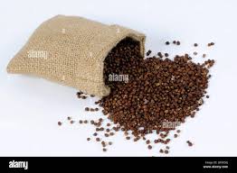 Image result for Aframomum mala