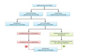 We did not find results for: A New Perspective On Parkinson S Disease Pathology Begins In The Gastrointestinal Tract Journal Of Young Investigators