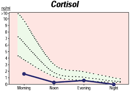 Adrenal Fatigue Causes Low Cortisol Levels Adrenal Fatigue