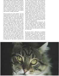 Kedi Haklari Bildirgesi Kedinin Topluca Oldurulmesi Bir Genocide Soykirim Yani Ture Karsi Islenmis Bir Suctur Pdf Ucretsiz Indirin