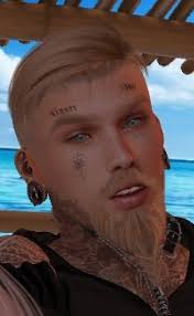 Fracassados e invejosos do second life