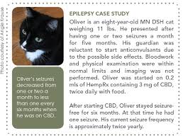 Although some cat owners insist that they've successfully used small amounts of thc to treat feline. Medical Cannabis In Your Practice Ivc Journal