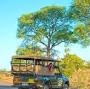 Affordable Kruger National Park packages from www.safariwithus.com