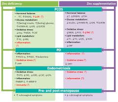 Maybe you would like to learn more about one of these? Nutrients Free Full Text The Role Of Zinc In Selected Female Reproductive System Disorders Html