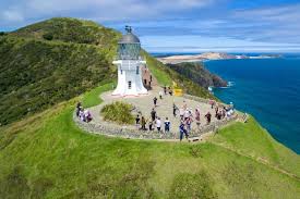A distinctively curved pohutukawa tree is believed to be the acting medium for the spirits of deceased maori tribesmen to travel from the physical realm of earth to their ancestral home of hawaiki. Far North Neuseeland Tour Inklusive 90 Mile Beach Und Cape Reinga Ab Paihia