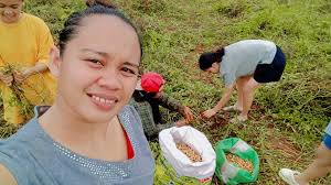 🥜 "Fingers in the dirt, peanuts in the palm — harvest season is here!".