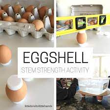 Eggshell Strength Experiment How Strong Is An Eggshell