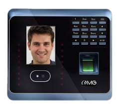 THE MAGNETARS product image