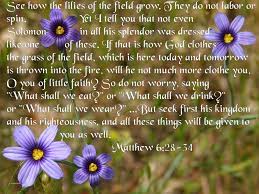 They neither toil nor spin, 29 yet i tell you, # 1 kgs. Lilies Of The Field Quotes Quotesgram