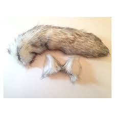 Arctic Wolf Halloween Costume Wolf Ears And Wolf Tail Anime Fantasy Liked On Polyvore Featuri Wolf Halloween Costume Wolf Tail Animal Halloween Costumes